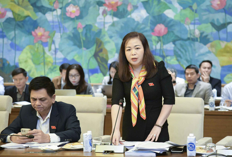 Phó Chủ nhiệm Ủy ban Tài chính - Ngân sách Vũ Thị Lưu Mai đánh giá cao nỗ lực của Bộ Giao thông Vận tải